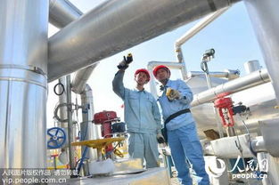我國(guó)首個(gè)煉化尾氣專利技術(shù)制二氧化碳成功用于石油開采 2015.12.12 9版